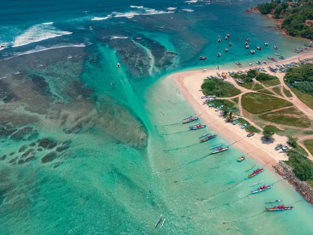 Sri Lanka Beach Holidays from India: A Coast-by-Coast Guide for Every Month