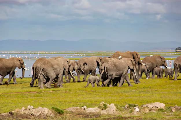 Kenya