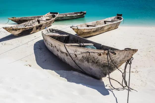 Zanzibar & Tanzania Travel Guide from India: Stone Town, Nungwi Beaches, Spice Tours and a Serengeti Safari Add-On