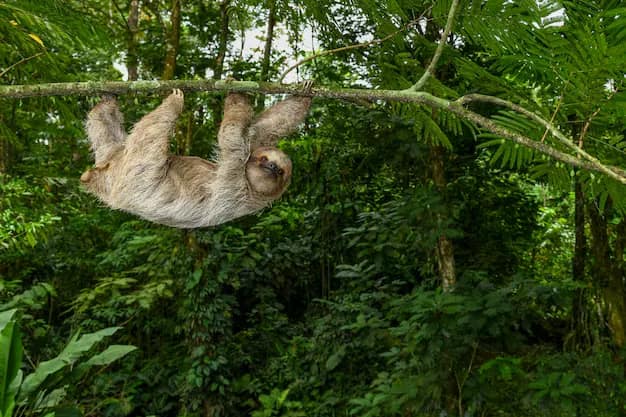 Costa Rica Travel Guide for Indian Travellers: Volcanoes, Cloud Forests and Sloths