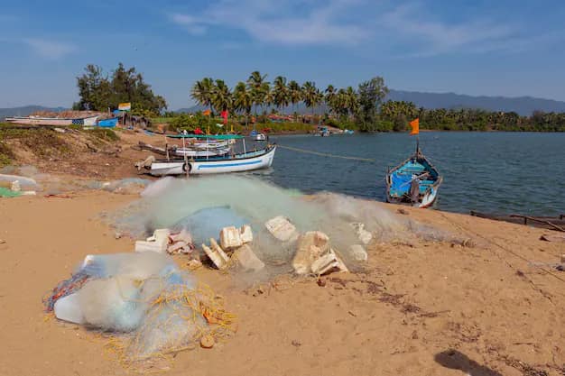 Goa Holiday from Surat & Gujarat: North vs South, Beaches, Best Time & How to Reach
