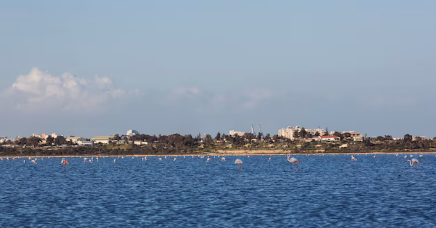 Larnaca · Limassol · Paphos, Cyprus