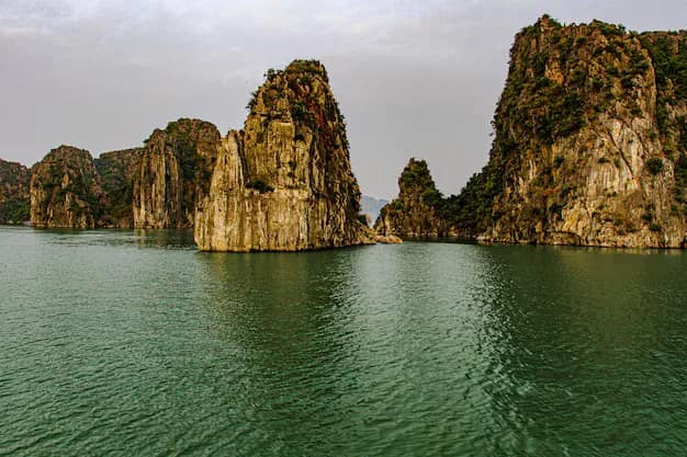 Vietnam Visa Guide from Gujarat: E-Visa Steps, Cost & Timeline