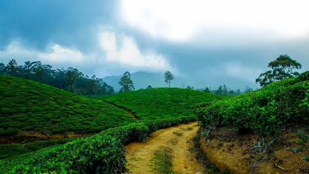 Sikkim & Darjeeling from Gujarat: Gangtok, Nathula, Toy Train & Kanchenjunga Views