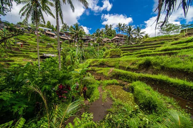 Bali in 7 Days: A Complete Itinerary for Indian Travellers