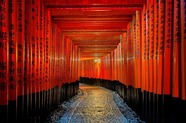 Japan in 7 Days for Indian Travellers: A Tokyo, Mt Fuji, Kyoto, Osaka and Nara Itinerary
