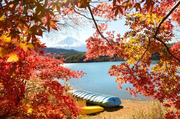 Fuji Five Lakes and Kawaguchiko: An Honest Guide for Indian Travellers