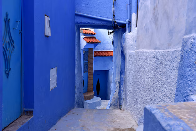 Chefchaouen, Morocco: An Honest Guide to the Blue City for Indian Travellers