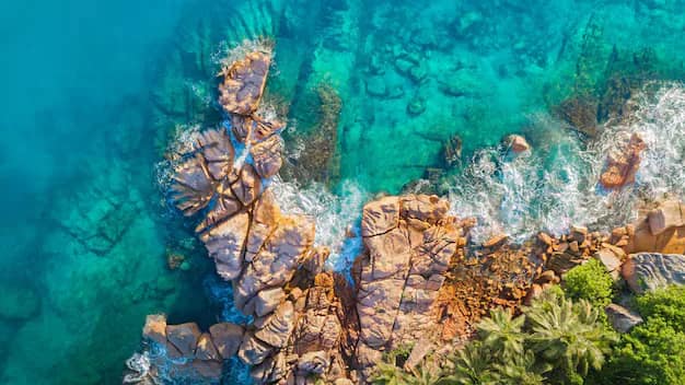 Seychelles Honeymoon and Beach Guide from India: Mahe, Praslin, La Digue and the World's Most Beautiful Beaches