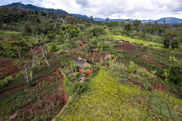 Papua New Guinea — where this visa takes you