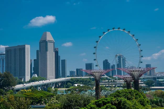 Singapore visa for Indians: how it works and why you need an agent