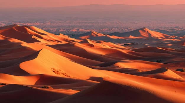 Qatar and Doha stopover guide: visa, transit rules and what to do in a layover