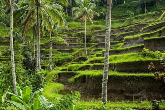 Indonesia