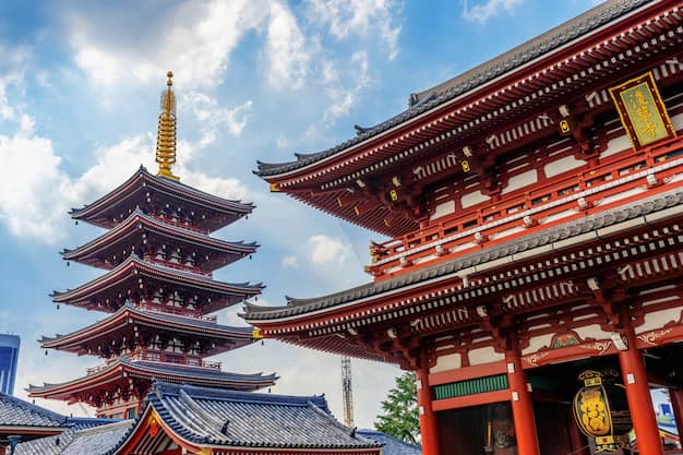 Japan travel guide from India: cherry blossoms, temples and the bullet train