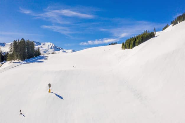 Best Ski Destinations for Indian Travellers (2026): Gulmarg to the Alps
