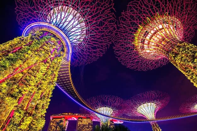 The Supertrees at Gardens by the Bay, Singapore
