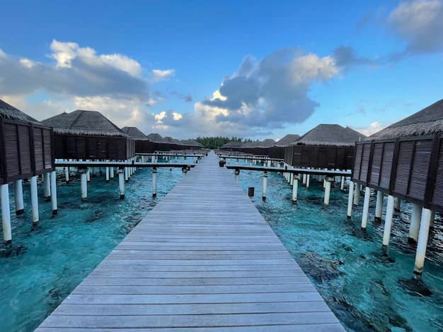 Holiday packages