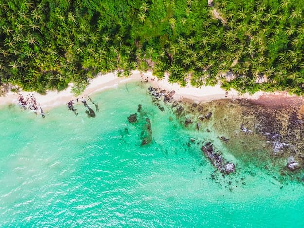 Aerial view of a turquoise tropical beach lined with coconut palms