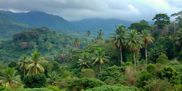 Equatorial Guinea — where this visa takes you