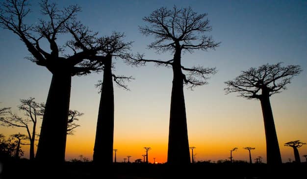 Antananarivo · Morondava · Nosy Be, Madagascar
