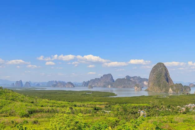 Thailand Digital Arrival Card (TDAC): Step-by-Step Guide for Indian Travellers