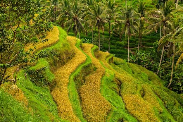 Indonesia