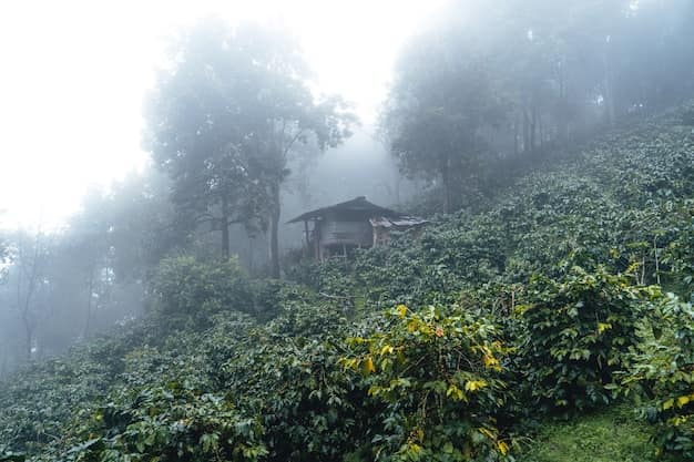 Sikkim & Darjeeling from Gujarat: Gangtok, Nathula, Toy Train & Kanchenjunga Views