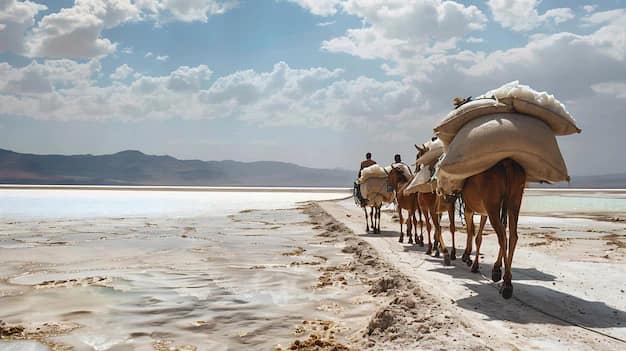 Djibouti — where this visa takes you