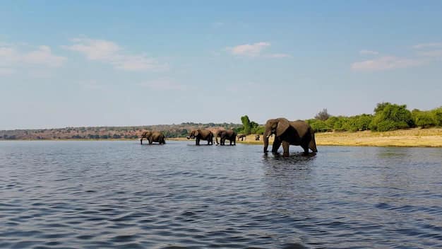 Botswana
