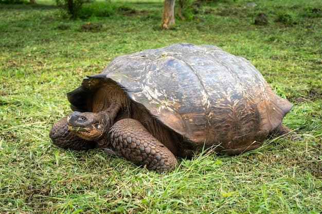 Quito · Galápagos Islands, Ecuador