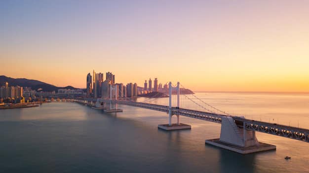 Busan Travel Guide from India: Beaches, Bridges & Temples in South Korea
