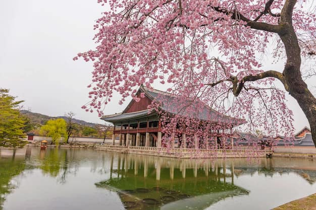 South Korea for Indian Travellers: Seoul, Hanbok at Gyeongbokgung, Nami Island and the K-Wave Trip You Have Been Dreaming About