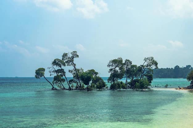 The jetty and clear blue water at Havelock Island (Swaraj Dweep), Andaman Islands