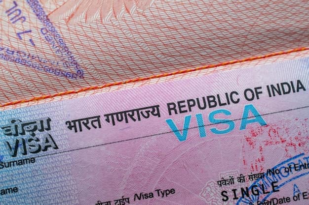 OCI, e-Visa or Tourist Visa? India Entry Documents for NRIs & Foreign Passport Holders