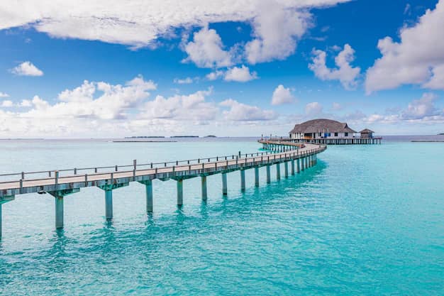 Holiday packages