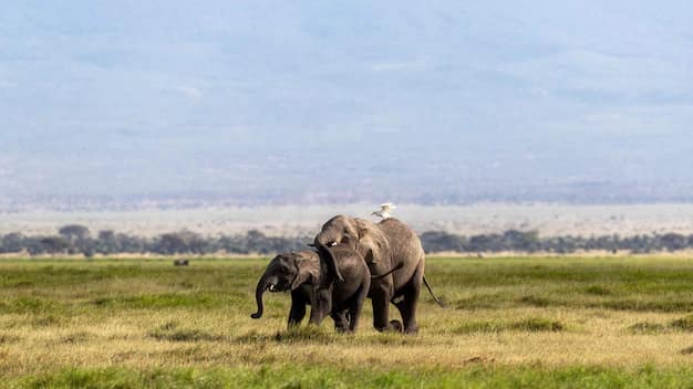 Kenya & Tanzania Safari Guide from India: Masai Mara, Serengeti and the Great Migration