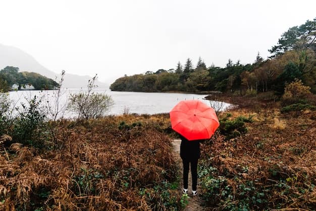 Where to Travel During the Monsoon from Gujarat (July–September)