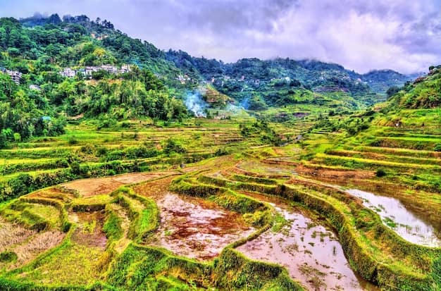 Banaue and Batad Rice Terraces: An Honest Guide for Indian Travellers
