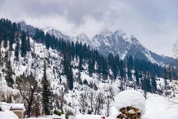 Shimla–Manali Tour from Gujarat: The Complete Himachal Circuit Guide