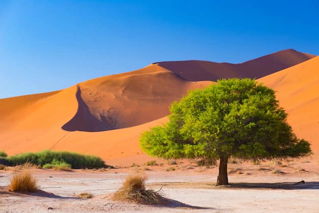 Windhoek · Sossusvlei · Swakopmund · Etosha, Namibia