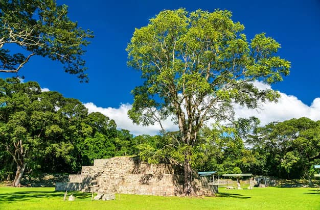 Roatán · Copán · La Ceiba, Honduras