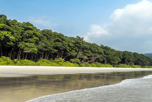 Andaman Islands Travel Guide from Gujarat: Havelock, Neil and Port Blair
