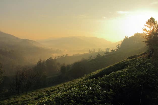 Ooty, Coorg & Mysore from Gujarat: Toy Train, Coffee Estates and a Palace Lit by a Lakh of Bulbs
