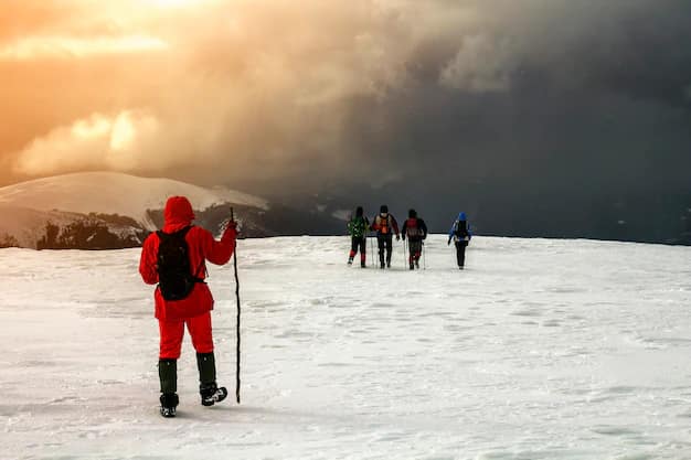 Altitude Sickness: What Indian Travellers Must Know Before Ladakh, Nepal or Peru