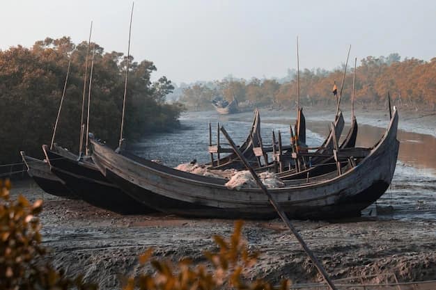 Dhaka · Sundarbans · Cox’s Bazar, Bangladesh