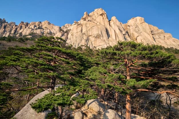 Seoraksan National Park: A Complete Mountain Guide for Indian Travellers