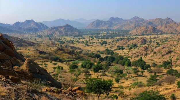 Niger — where this visa takes you