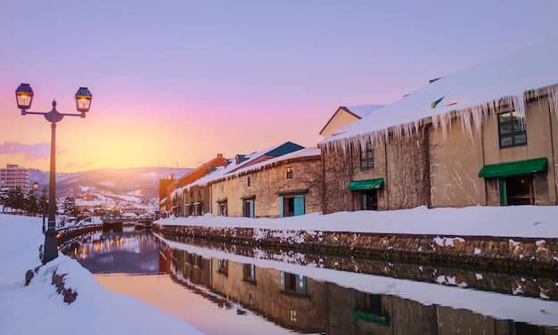 Hokkaido Travel Guide for Indian Travellers: Snow, Onsen, Flower Fields and Otaru