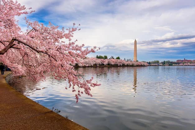 Washington DC National Mall framed by cherry blossoms beside the Tidal Basin in spring sunlight