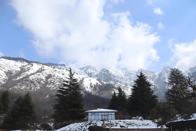 Kashmir in Winter: Snow, Gulmarg & the Perfect 5-Day Plan